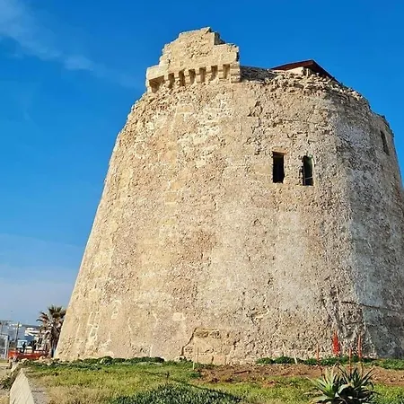 A 100 M Dalla Torre Mozza